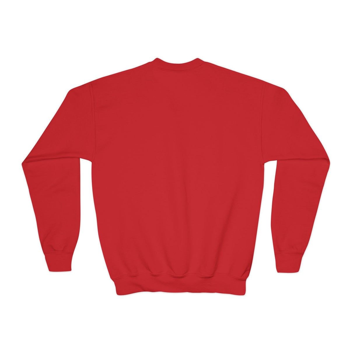 Youth Crewneck Jesus is the Reason'