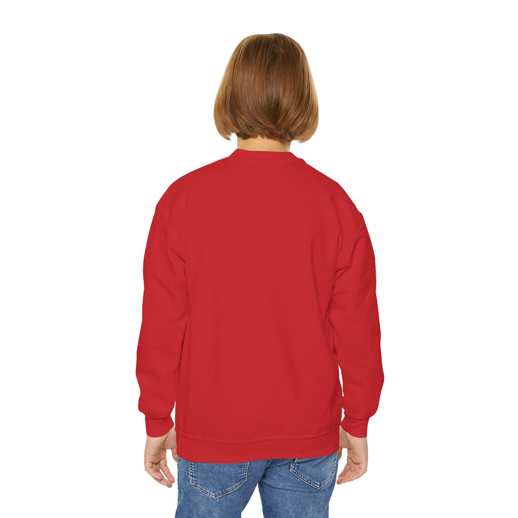 Youth Crewneck Jesus is the Reason'