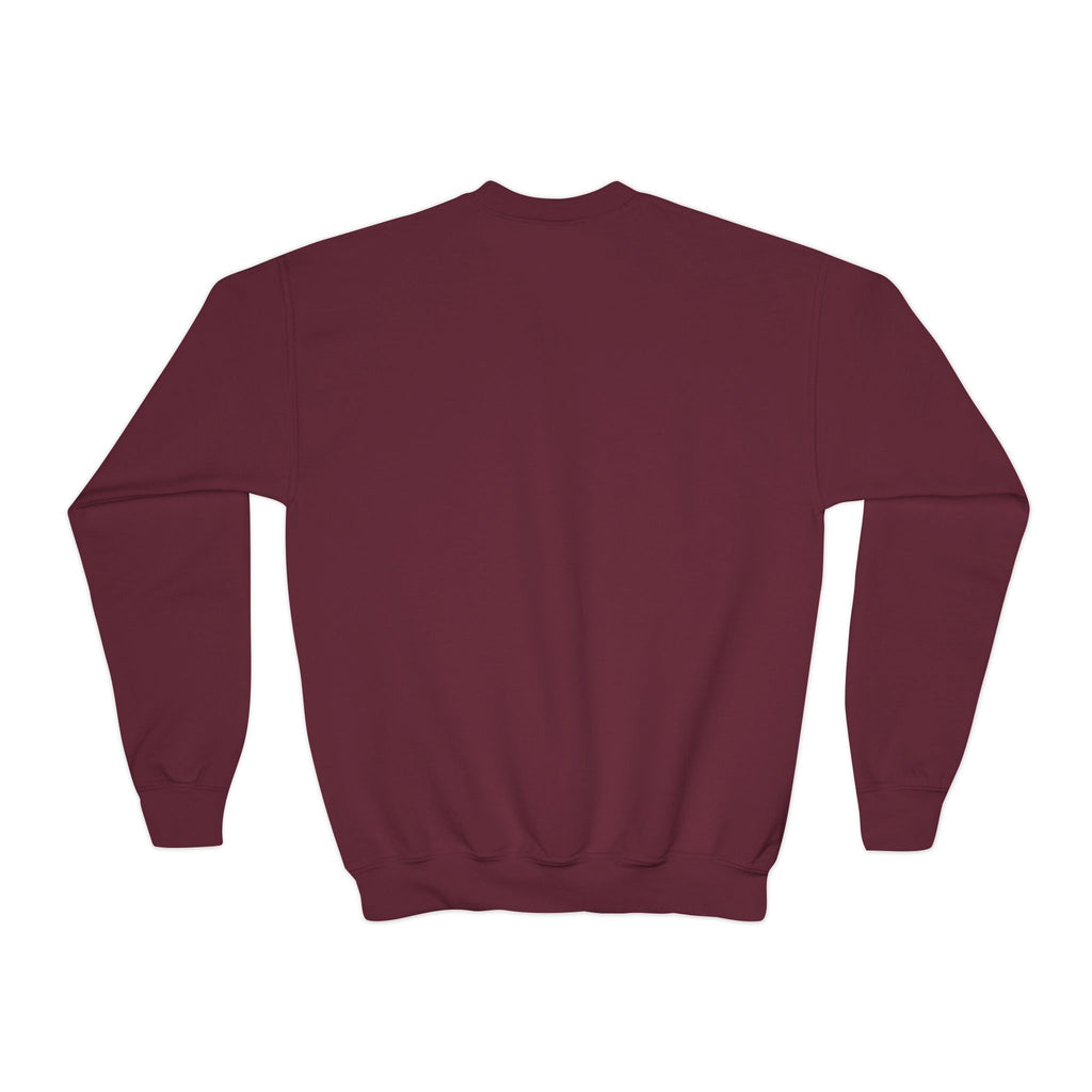 Youth Crewneck Jesus is the Reason'