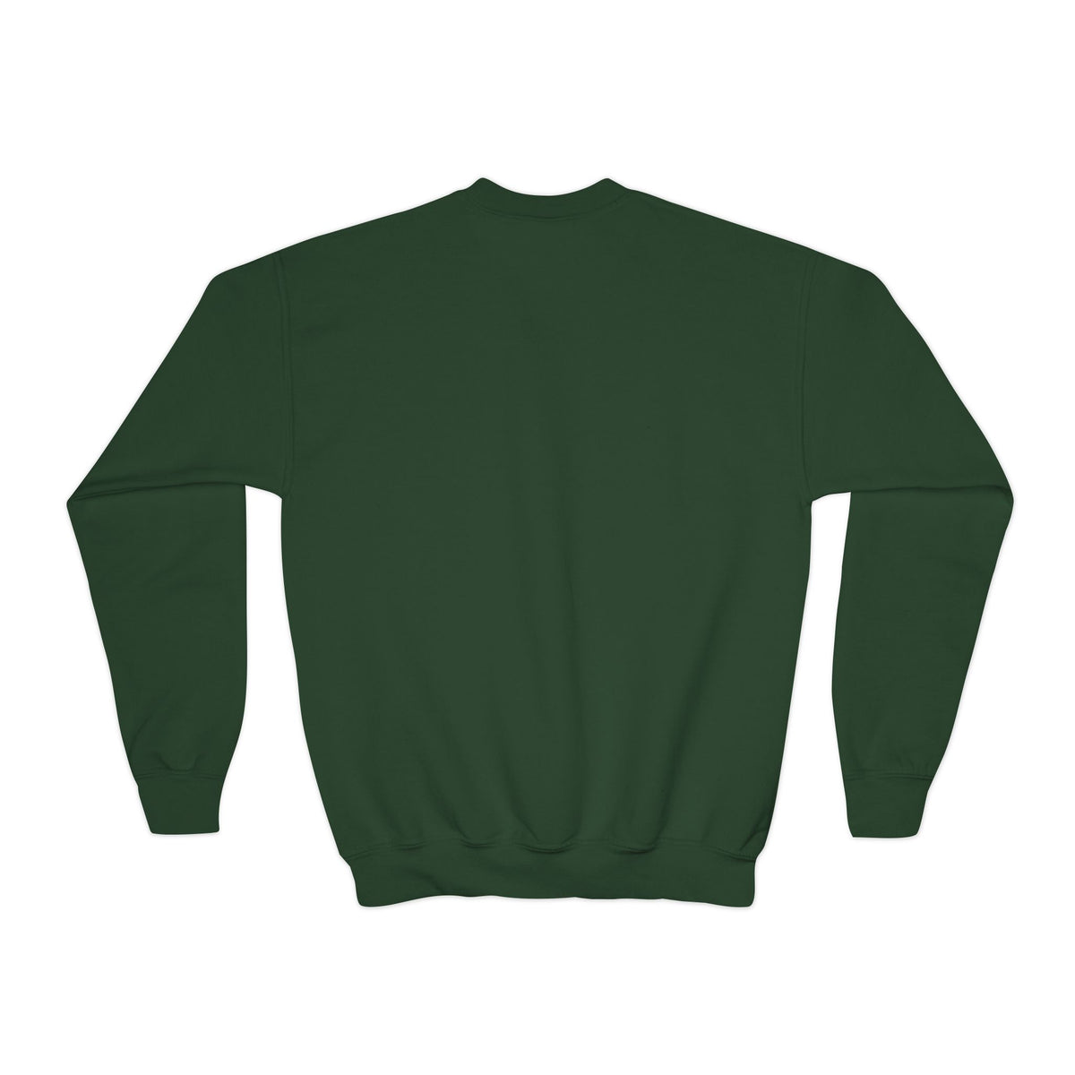 Youth Crewneck Jesus is the Reason'